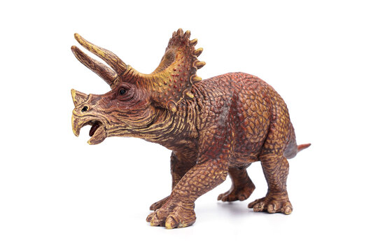 Triceratops dinosaur hard plastic toy isolated on white background.