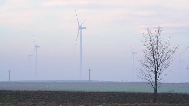 Wind farm in misty countryside with a bare tree silhouette in the foreground, showing renewable energy structures partially hidden by low clouds and tranquil weather conditions