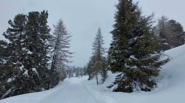 Magical view of snowy landscape with falling snow flakes. Winter fairy tale in the forest, snowy tree branches. Mountains already covered with snow. Alps, Kronplatz.