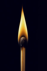 Macro of burning wooden matchstick on black