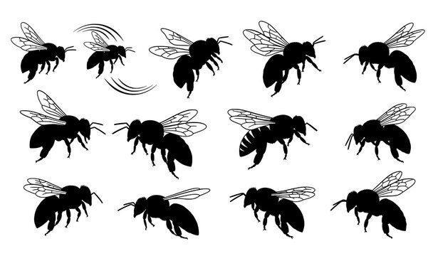 Decorative bee silhouettes vector set dynamic insect poses