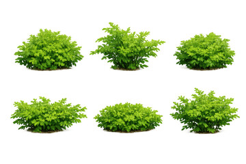 Obraz premium Green plants set isolated on transparent background, offering versatile elements for landscaping and nature compositions