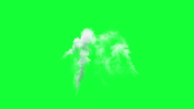 Volumetric cloud on green screen alpha

Soft volumetric white smoke cloud animation isolated for compositing with al[ha channel professional VFX usage

