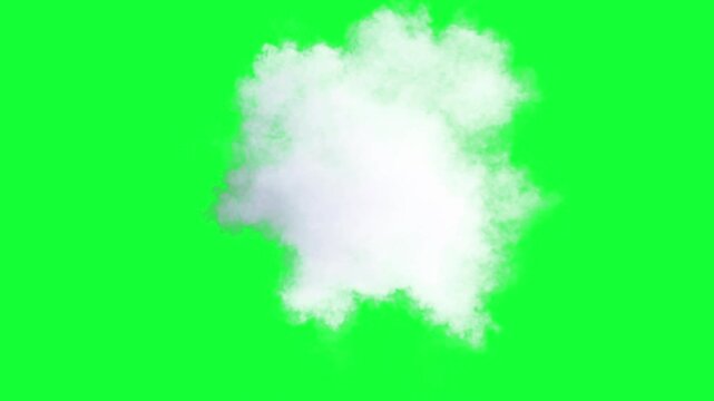 Volumetric cloud on green screen alpha

Soft volumetric white smoke cloud animation isolated for compositing with al[ha channel professional VFX usage

