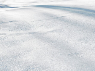 Soft White Snow Blanket on a Sunny Winter Day