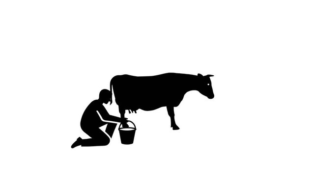 Person Milking a Cow Silhouette