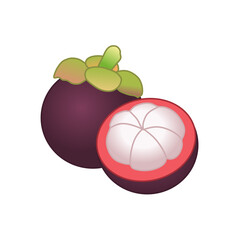 mangosteen vector
