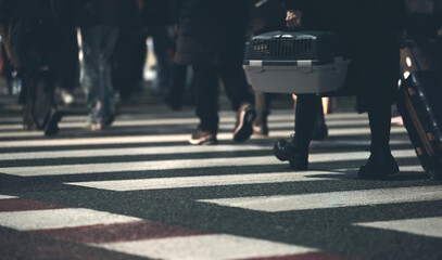 Crowd Of People Crossing A Pedestrian Crossroad