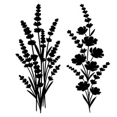 Beautiful black silhouette vector set showcasing two distinct styles of delicate lavender flower bunches, perfect for decoration.