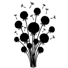 Stylized black silhouette graphic depicting several dandelion seed heads with fluffy seeds scattering across the white background digitally.