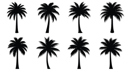Fototapeta premium Assortment of Black Palm Tree Silhouettes tropical