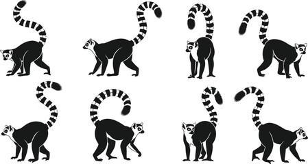 Ring tailed lemur silhouette set in different walking and standing poses, black vector wildlife illustration collection isolated on white © Sujoy