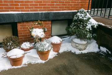 Snow covers potted plants near a brick wall in a quiet urban area during winter