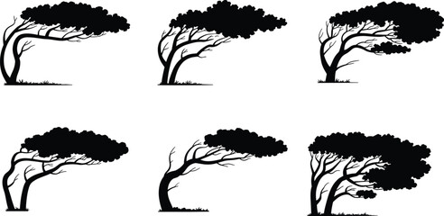 Wind blown tree silhouette collection showing bent trees strong wind nature scene isolated on white background vector illustration design stock