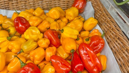 red and yellow peppers in a basket