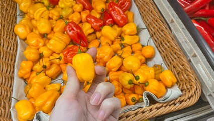 Women holding yellow peppers