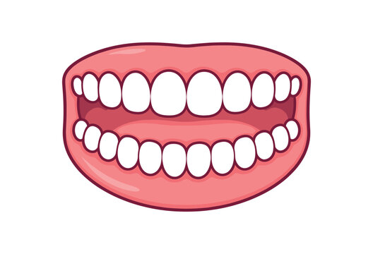 full color icon kids teeth row top and bottom simple white tooth shapes childrens mouth anatomy icon clean shapes. colored flat icon vector illustration isolated on white background