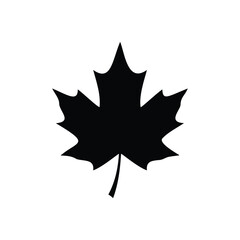 Obraz premium Simple maple leaf silhouette vector flat illustration design.