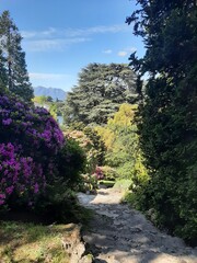 beautiful landscape with a lake komo