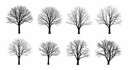 Fototapeta premium Collection of bare winter tree silhouettes trees bare trees