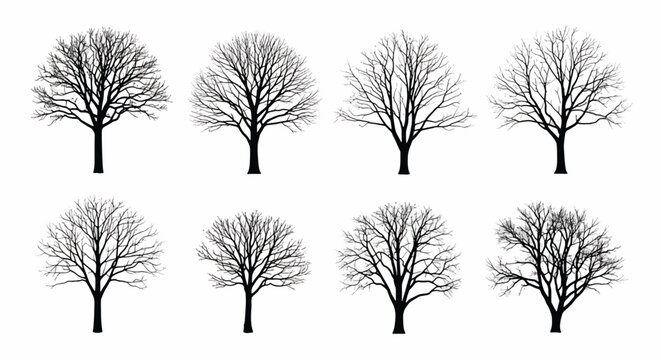 Collection of bare winter tree silhouettes trees bare trees