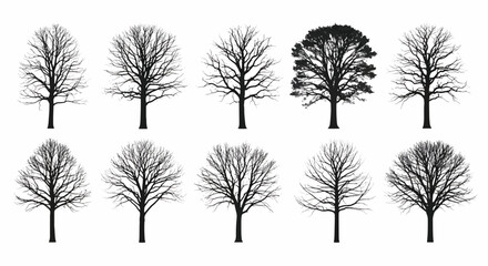 Obraz premium Collection of Ten Bare Tree Silhouettes winter deciduous
