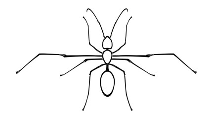 Simple black and white line drawing illustration of an ant, minimalist insect outline sketch, perfect for educational design projects