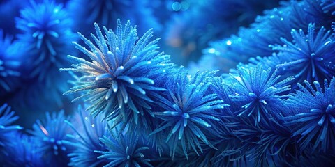 Fototapeta premium Blue frosted pine needle close-up reveals intricate details of nature's beauty in winter's chill