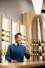 Obraz premium Celebrating fine wine in a stylish tasting room with expert guidance