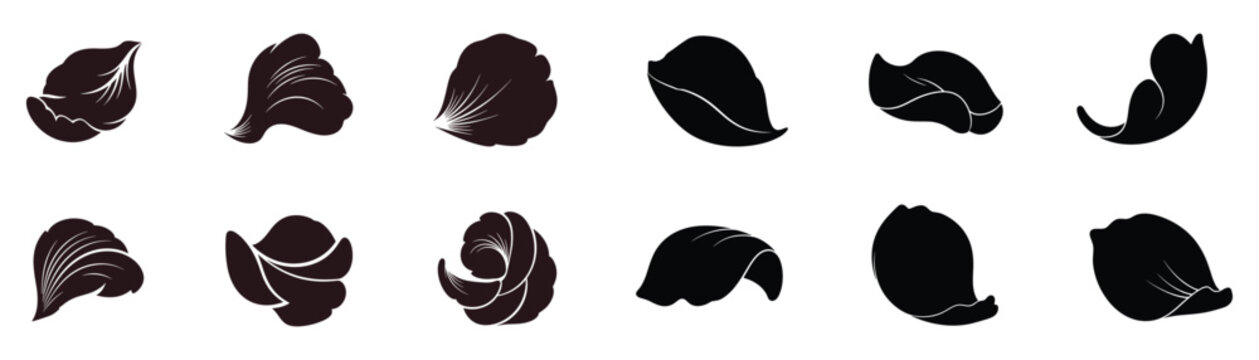 Set of realistic flower petal vector illustrations isolated on transparent background creative elements