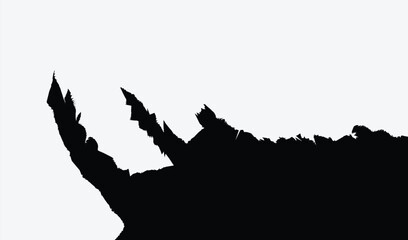 blank white creased crumpled paper texture background