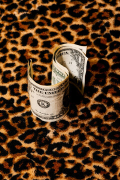 Rolled dollar bills on leopard print fabric