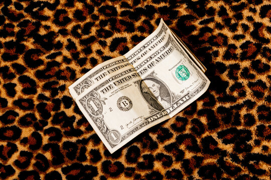 American dollar bills on a leopard print fabric