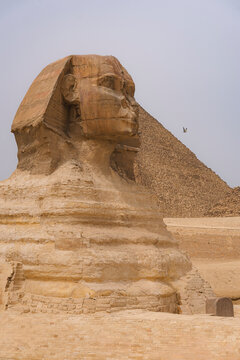 Majestic ancient sphinx in Egypt's desert landscape