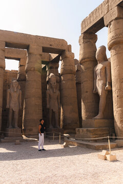 Majestic ancient statues in Egypt's desert landscape