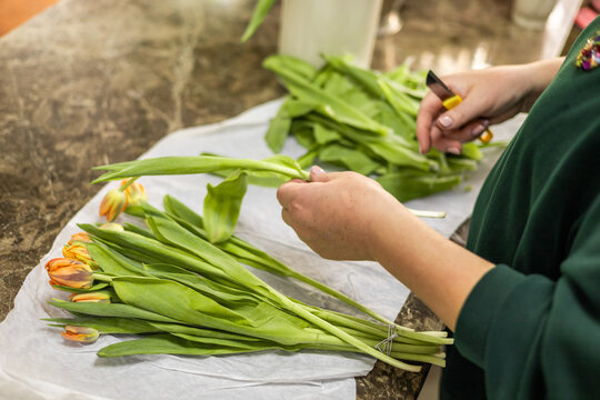 Florist arranging mini tulips in flower shop