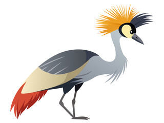 Fototapeta premium grey crowned crane balearica