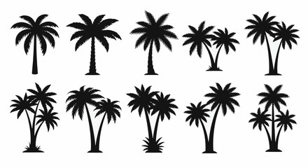 Palm Tree Silhouettes Collection tropical nature