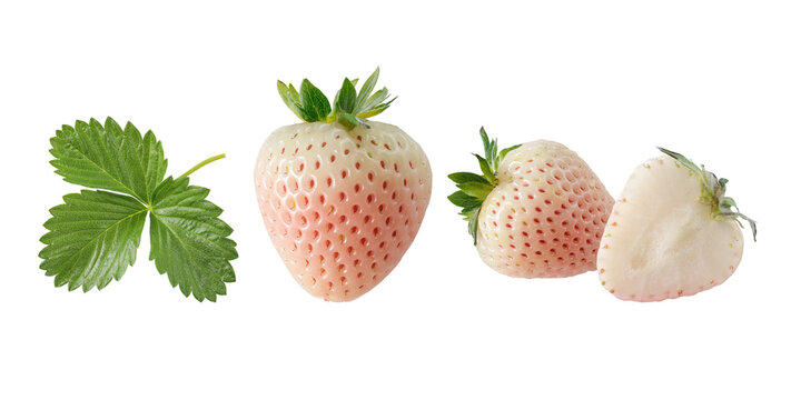 Whole and half white strawberry or pineberry berries  with leaf isolated on white. Healthy food collection.