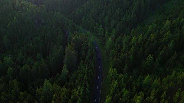 Mountain road through green conifer forest with passing car