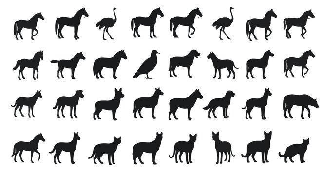 Silhouette Collection Of Various Animals horse ostrich