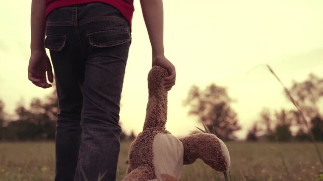 Boy walking with teddy bear in sunset field, Child holding soft toy outdoors, Kids' adventures in nature, Evening stroll with plush friend, Childhood memories in countryside, Innocence of youth