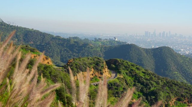 Wide, sweeping panoramic video of the vast Los Angeles cityscape, shot from a trail in Griffith Park. The view covers Glendale and Burbank on a hazy day.