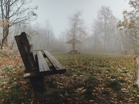 Wooden bench in a foggy park clearing with a small gazebo in the distance, surrounded by autumn trees and fallen leaves, conveying quiet and solitude.