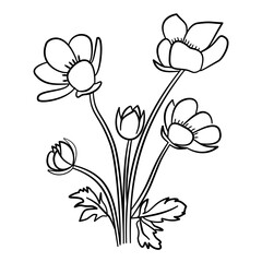 Elegant anemone flower cluster line art for branding, packaging, wedding invitation, stationary 