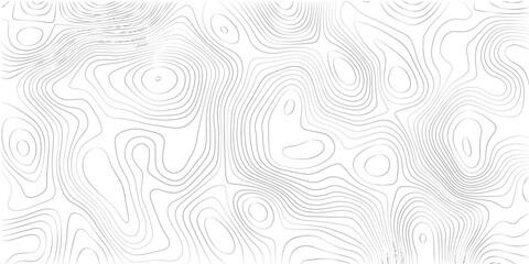Obraz premium Elegant geometric topographic swirl lines seamless abstract background