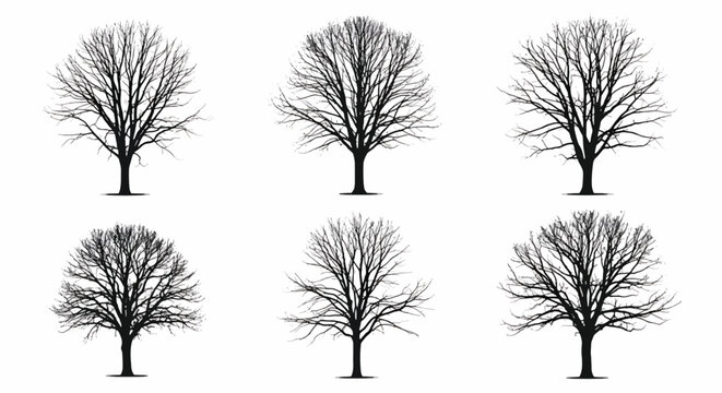 Six bare winter tree silhouettes branches