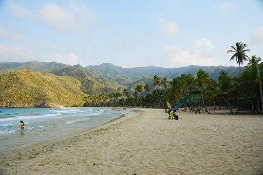 High angle aerial view of Playa Grande in Choroni with turquoise waves, golden sand and tropical palm trees.