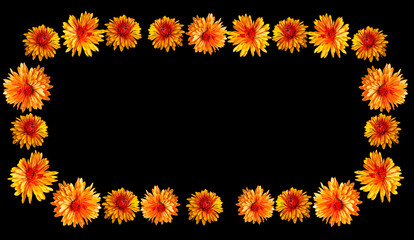 Obraz premium frame of yellow chrysanthemum flowers on a black background