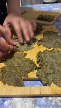 proccess of dolma cooking grape leaves and meat